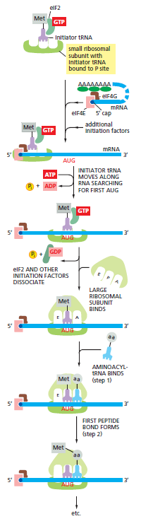 Figure 6-70.png